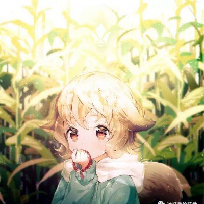 揭秘精灵耳整形乱象